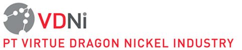 LOGO_VDNI